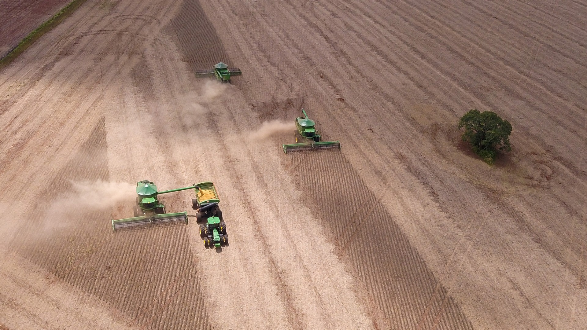Mercosur : l’agrobusiness brésilien, le grand gagnant de l’accord