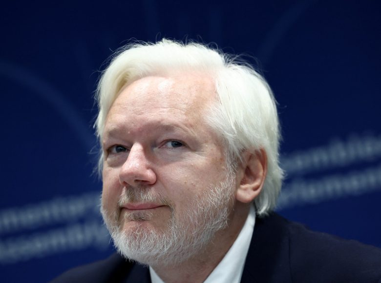 WikiLeaks founder Julian Assange speaks during a parliamentary hearing at the Council of Europe in Strasbourg, eastern France, on October 1, 2024. (Photo by FREDERICK FLORIN / AFP)