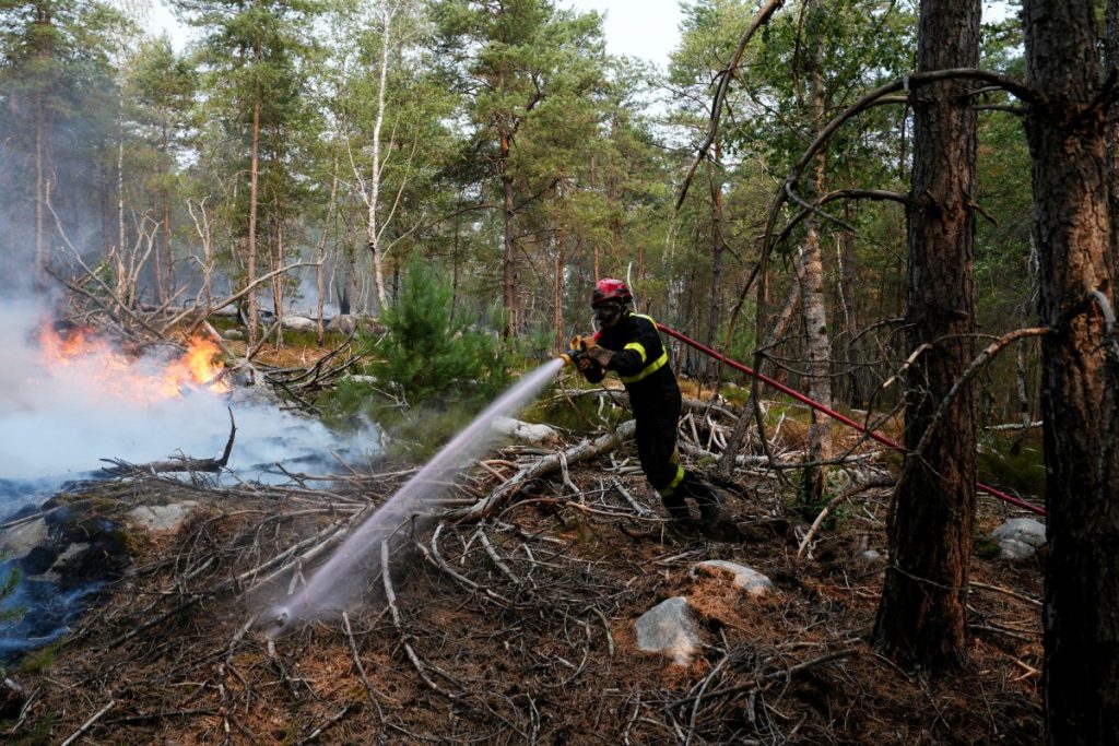 A firefighter operates during a fire in the Fontainebleau Forest, in Noisy-sur-Ecole, in the Paris' Ile-de-France region on July 14, 2026. The fires that have been raging since July 12, 2026 afternoon in the Fontainebleau forest had spread across more than 1,900 hectares by July 14, 2026 morning, according to the Seine-et-Marne fire service, which hopes the fire will be brought under control later today. (Photo by Dimitar DILKOFF / AFP)