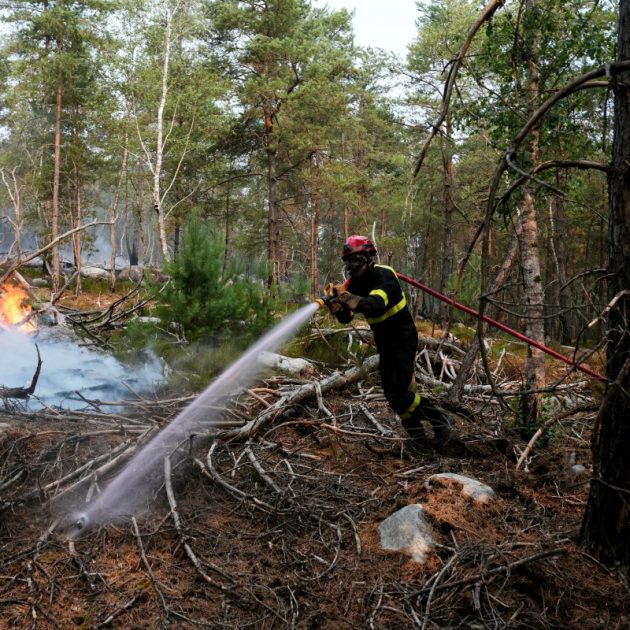 A firefighter operates during a fire in the Fontainebleau Forest, in Noisy-sur-Ecole, in the Paris' Ile-de-France region on July 14, 2026. The fires that have been raging since July 12, 2026 afternoon in the Fontainebleau forest had spread across more than 1,900 hectares by July 14, 2026 morning, according to the Seine-et-Marne fire service, which hopes the fire will be brought under control later today. (Photo by Dimitar DILKOFF / AFP)