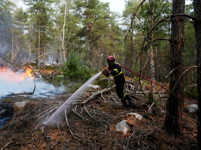 A firefighter operates during a fire in the Fontainebleau Forest, in Noisy-sur-Ecole, in the Paris' Ile-de-France region on July 14, 2026. The fires that have been raging since July 12, 2026 afternoon in the Fontainebleau forest had spread across more than 1,900 hectares by July 14, 2026 morning, according to the Seine-et-Marne fire service, which hopes the fire will be brought under control later today. (Photo by Dimitar DILKOFF / AFP)